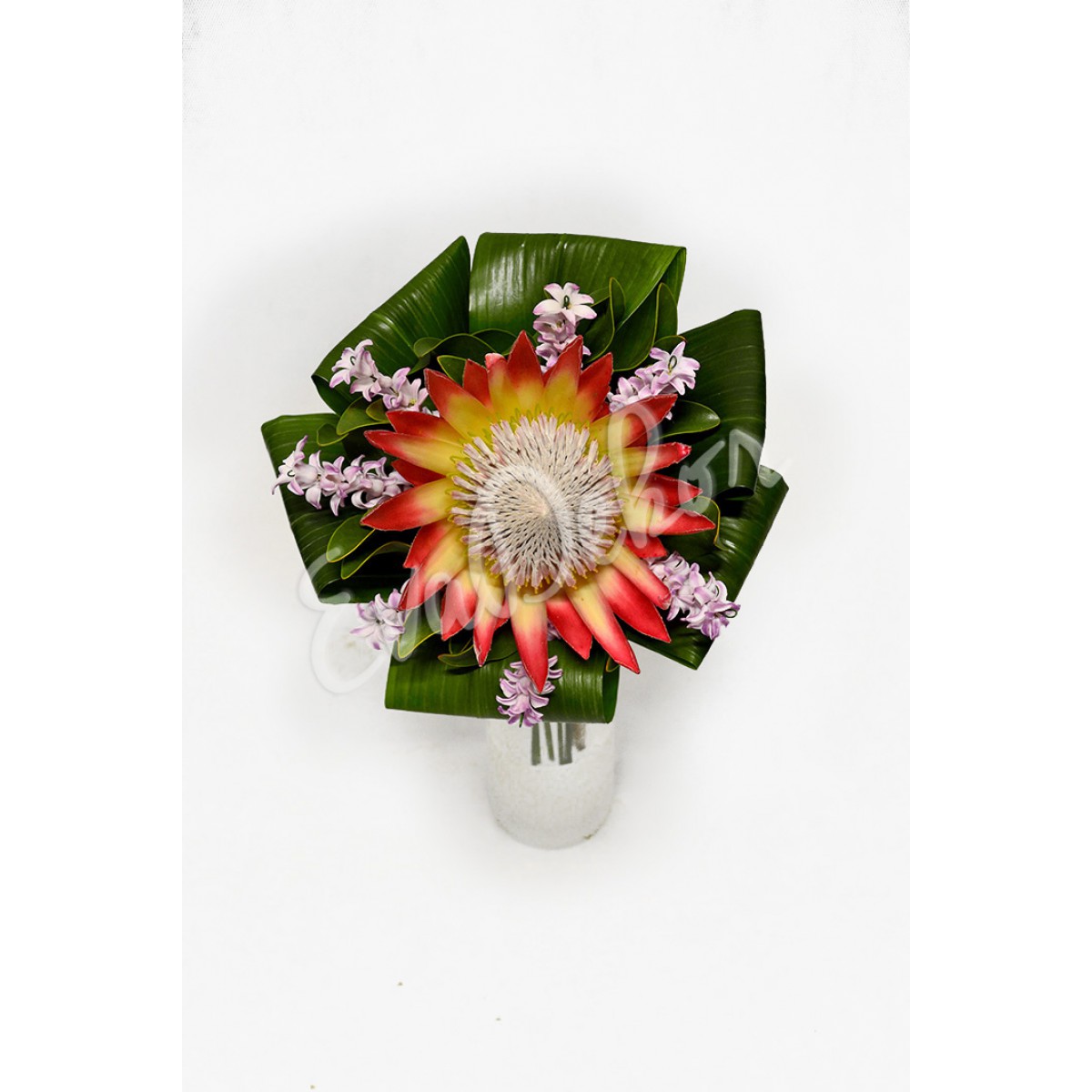 Svatební kytice Protea